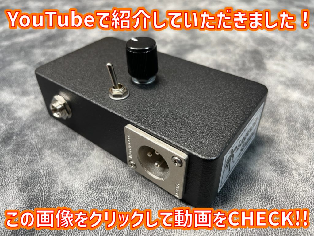 ギター馬鹿チャンネル様 PassiveV-BOX